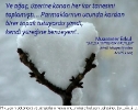 E-kartlar