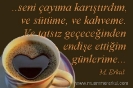 Seni çayıma, kahveme karıştırdım.