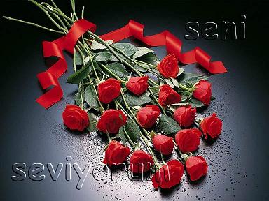 sevginin100lisan