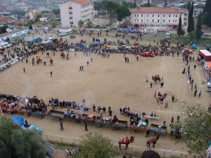 nazilli017